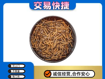 遂宁射洪市回收散虫草